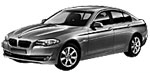 BMW F10 B21AB Fault Code